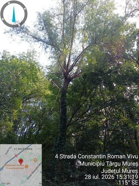5 C.R.Vivu, nr. 4D, spate garaje, 1 salcie...