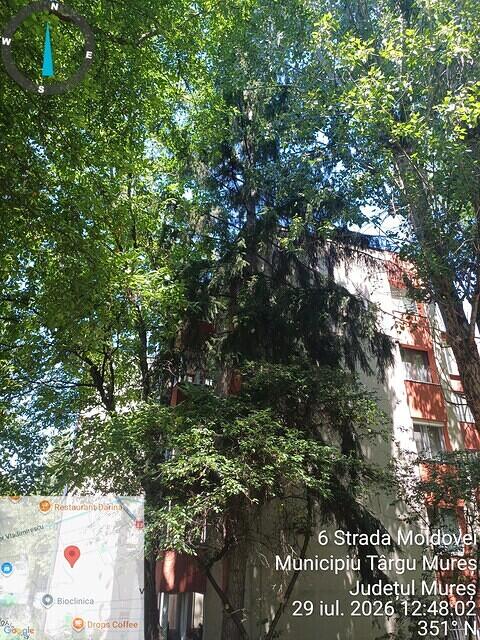 9 str. Moldovei, nr. 8, 1 molid..