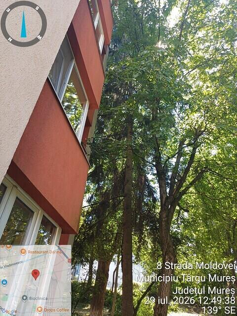 9 str. Moldovei, nr. 8, 1 molid.