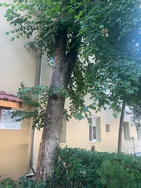 6 Nicolae Bălcescu, nr. 48(1)
