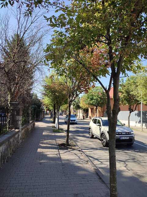 8 Cuza Vodă aliniament ( de la P-ța Iuliu Hossu - str. G. Enescu (3)