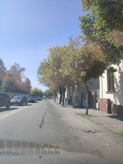 8 Cuza Vodă aliniament ( de la P-ța Iuliu Hossu - str. G. Enescu) (7)