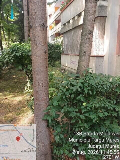 2 Moldovei nr. 13B, 2 pini, 2 molizi