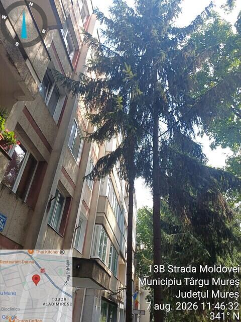 2 Moldovei nr. 13B, 2 pini, 2 molizi