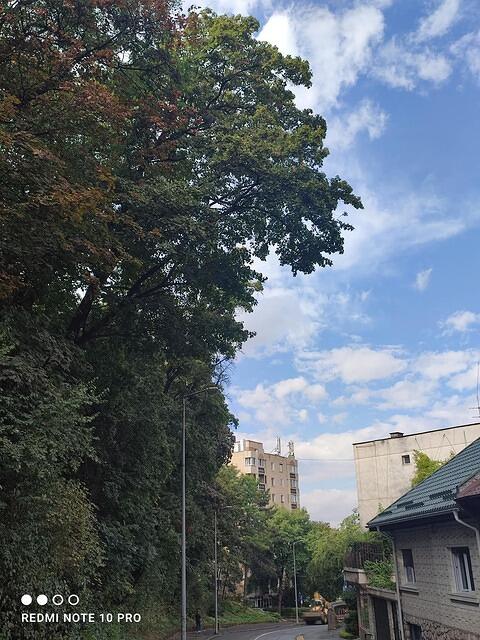 6 Nicolae Grigorescu nr. 5A, 2 arțari...
