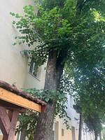 Str. N.Balcescu nr.48