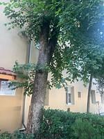 6 Nicolae Bălcescu, nr. 48(1)