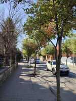 8 Cuza Vodă aliniament ( de la P-ța Iuliu Hossu - str. G. Enescu (3)