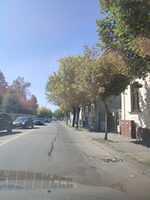 8 Cuza Vodă aliniament ( de la P-ța Iuliu Hossu - str. G. Enescu) (7)