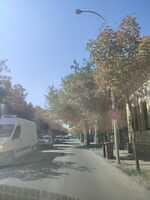 8 Cuza Vodă aliniament ( de la P-ța Iuliu Hossu - str. G. Enescu) (9)