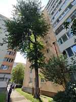 4. B-dul 1848 nr. 58 (1)