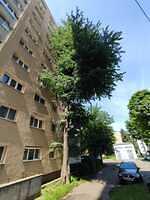 4. B-dul 1848 nr. 58 (2)