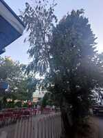 Str. Secuilor Martiri, F.N.