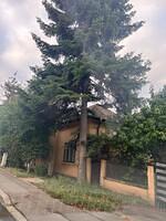 Str. Budiului nr. 8
