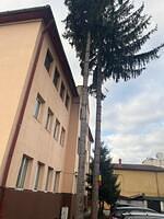 13. LiviuRebreanu 22(2)