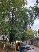 Str. Magurei nr. 7