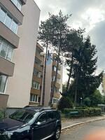 10. Măgurei 11