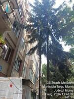 2 Moldovei nr. 13B, 2 pini, 2 molizi