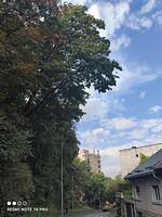 6 Nicolae Grigorescu nr. 5A, 2 arțari...