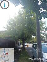 4 str. Voinicenilor, nr. 148-150, 1 acer negundo...