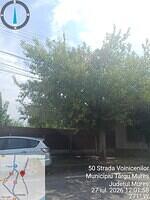 4 str. Voinicenilor, nr. 148-150, 1 acer negundo....