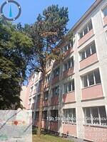 Str.Nicolae Grigorescu, Camin nr. 4